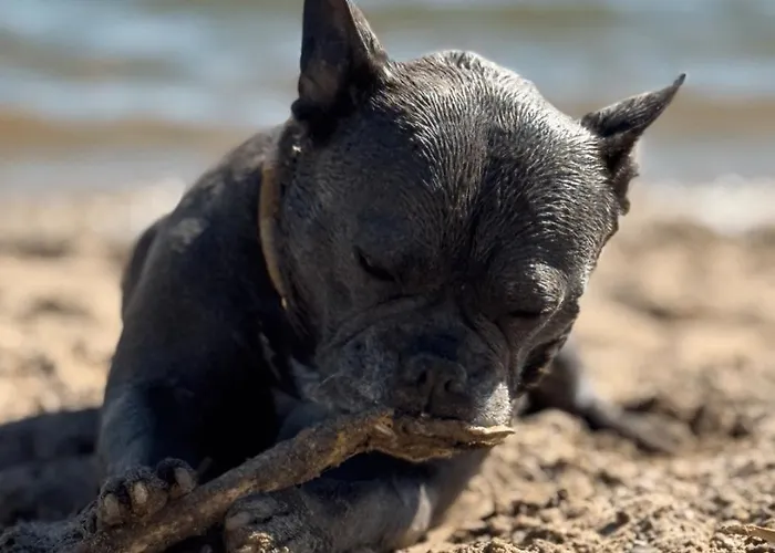 De Veerwater In Recreatiepark De Veerstal Apartamento